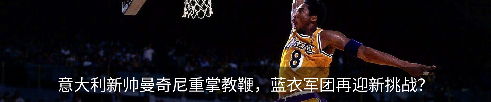 最新动态