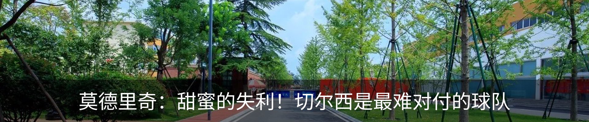 最新动态